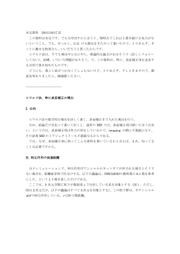 エワルド法、特に表面補正項の導出（未完, 2011/10/17