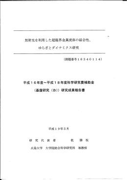 平成16年度&sim;平成18年度科学研究費補助金