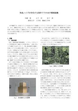 気泡ノイズが存在する条件下での水中環境認識