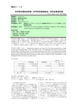 研究成果報告書 - KAKEN - 科学研究費助成事業データベース