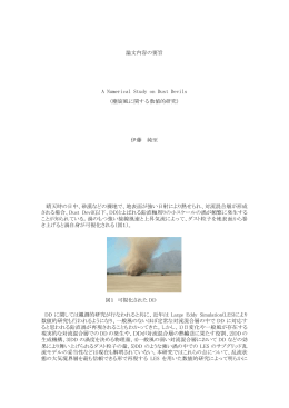 論文内容の要旨 A Numerical Study on Dust Devils （塵旋風に関する