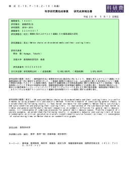 科学研究費助成事業 研究成果報告書