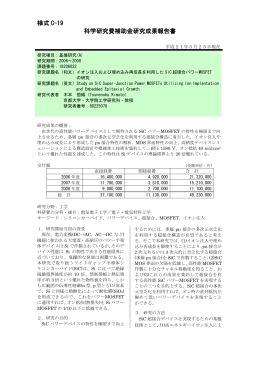 様式 C-19 科学研究費補助金研究成果報告書 - KAKEN