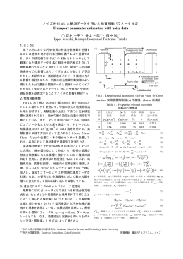 Transport parameter estimation with noisy data Ippei Masaki