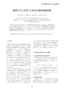 数理モデルを用いた岩石の動的強度評価