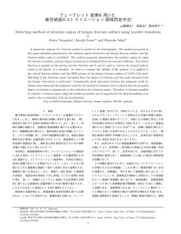 ウェーブレット変換を用いた 疲労破面のストライ