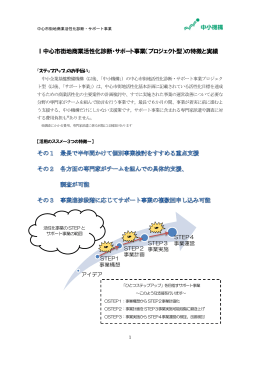 中心市街地商業活性化診断・サポート事業の特徴と実績（pdfファイル 0.6