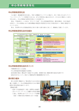 中心市街地活性化 中心市街地活性化