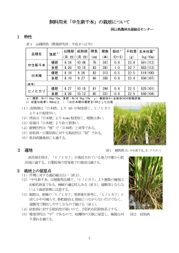 飼料用米「中生新千本」の栽培について