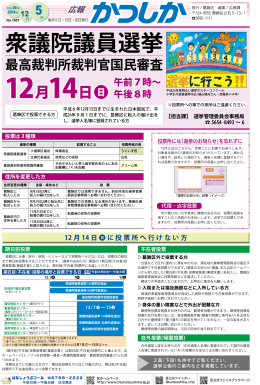 衆議院議員選挙 最高裁判所裁判官国民審査