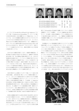 免疫調節多糖体を産生する乳酸菌を活用した機能性