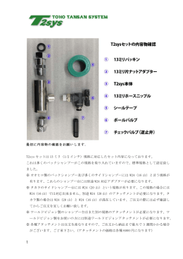 最初に内容物の確認をお願いします。 T2sys セットは 13 ミリ（1/2 インチ