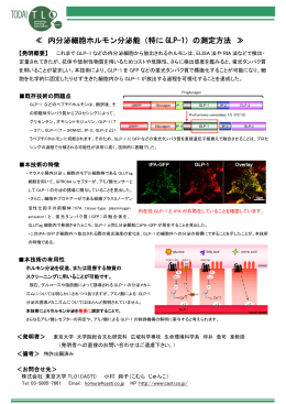 ≪ 内分泌細胞ホルモン分泌能（特に GLP-1）の測定方法