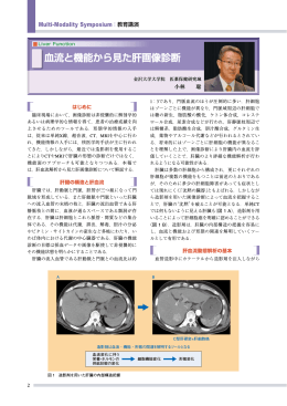血流と機能から見た肝画像診断