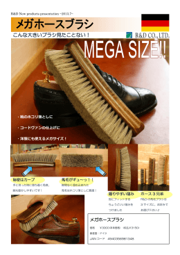 こんな大きいブラシ見たことない！