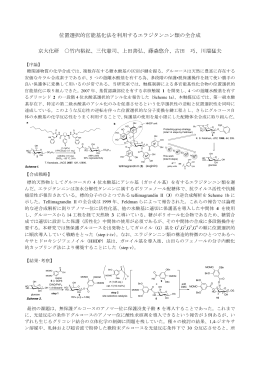 位置選択的官能基化法を利用するエラジタンニン類の全合成 京大化研
