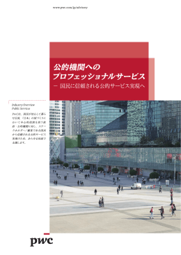 公的機関への プロフェッショナルサービス