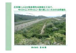在来種による生物多様性法面緑化工法で、 今だからこそ守りたい