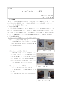 奨励賞 マンションだけの街のツバメの観察 千葉市立海浜打瀬小学校