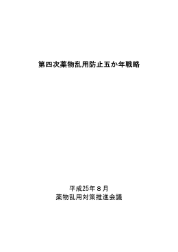 第四次薬物乱用防止五か年戦略本文（PDF形式：349KB）