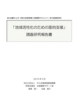 「地域活性化のための面的支援」 調査研究報告書