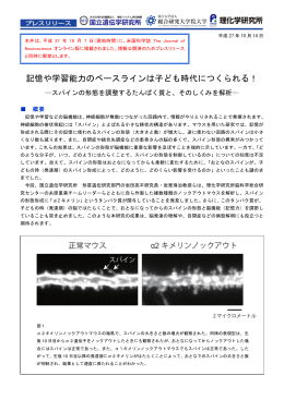 記憶や学習能力のベースラインは子ども時代につく