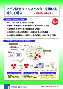 アデノ随伴ウイルスベクターを用いる 遺伝子導入