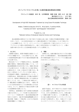 オゾンマイクロバブルを用いる高BOD廃液処理技術の開発