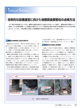 効率的な設備運営に向けた地際腐食鋼管柱の点検方法