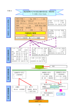 付録 4 検診結果から今の自分身体を知る（男性用） 内臓脂肪の蓄積 摂