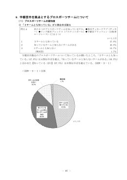 9. 宇都宮市を拠点とするプロスポーツチームについて
