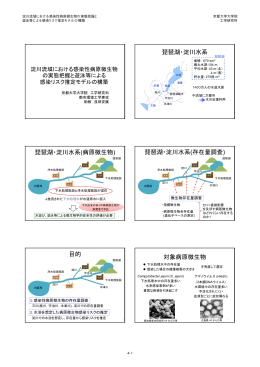 淀川流域における感染性病原微生物の実態把握と遊泳等による感染