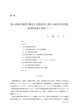弱い持続可能性の概念と実現条件に関する経済学的考察