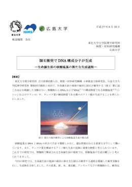隕石衝突で DNA 構成分子が生成