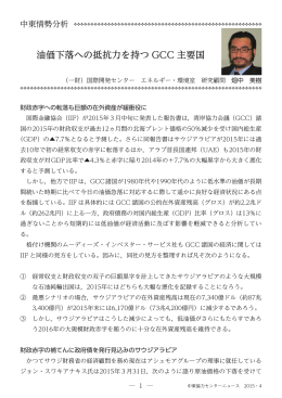 油価下落への抵抗力を持つGCC主要国〈PDF/7ページ〉