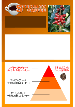 その一杯にこだわりを持つ 極上のスペシャリティーコーヒー スペシャリ