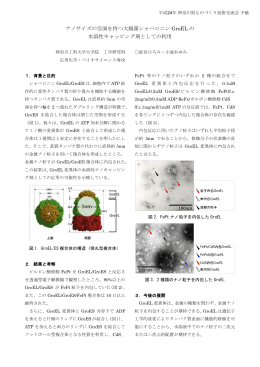 ナノサイズの空洞を持つ大腸菌シャペロニンGroELの水溶性キャッピング