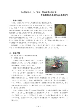 大山果実部のナシ「王秋」果肉障害対策支援 西部農業改良普及所大山