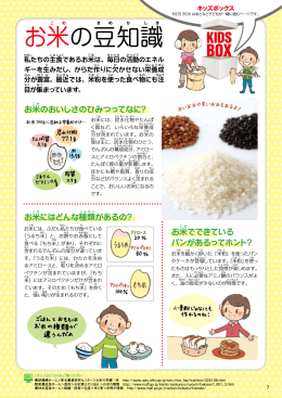 お米の豆知識［PDF形式：941KB］