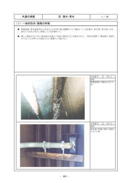 1 / 19 共通の損傷 ⑳ 漏水・滞水 (Ⅰ) 一般的性状・損傷の特徴