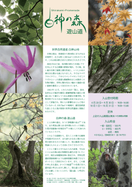 白神の森遊山道チラシ
