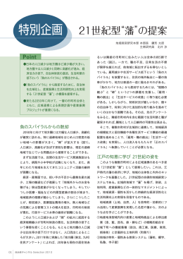 特別企画 21世紀型&ldquo;藩&rdquo;の提案