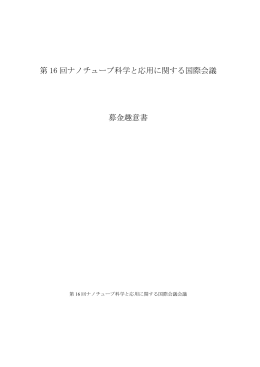 第 16 回ナノチューブ科学と応用に関する国際会議