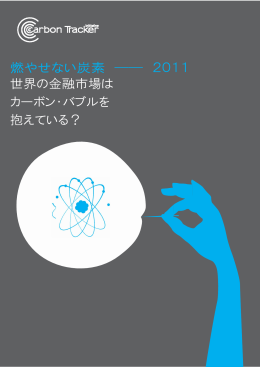 2011 世界の金融市場は カーボン・バブルを 抱えている？
