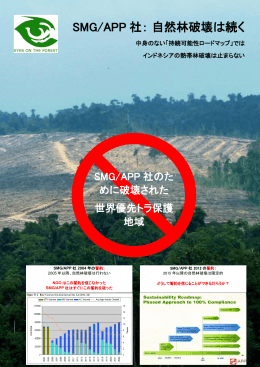 SMG/APP 社： 自然林破壊は続く