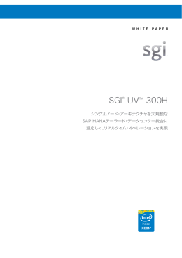 SGI&reg; UV&trade; 300H シングルノード・アーキテクチャを大規模な