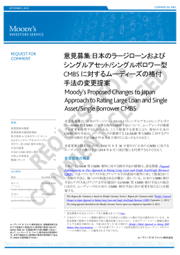 意見募集:日本のラージローンおよび シングルアセット/シングルボロワー型