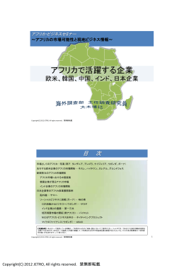 アフリカで活躍する企業