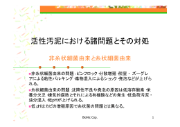 活性汚泥における諸問題とその対処 良質な汚泥と質の悪い汚泥