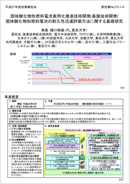 固体酸化物形燃料電池等実用化推進技術開発